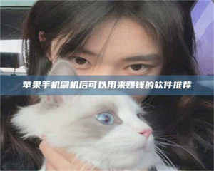 阿里苹果手机刷机后可以用来赚钱的软件推荐 第1张